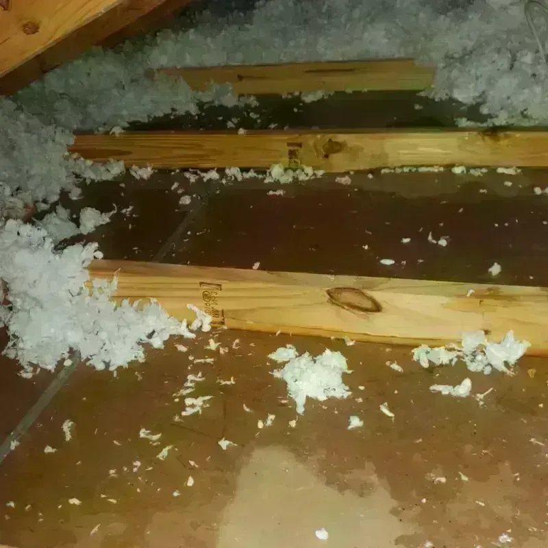 Attic Water Damage in Abbeville County, SC