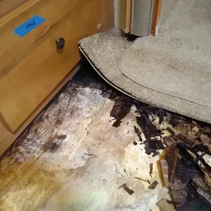 Best Wood Floor Water Damage Service in Abbeville County, SC